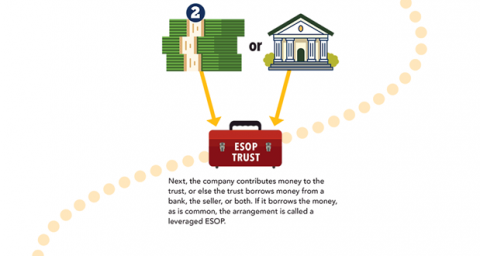 ESOP infographic 2