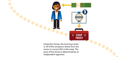 ESOP infographic 3