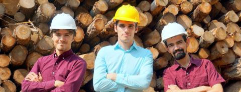 forward forestry
